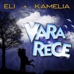 album image Vara Asta Vara Rece (feat. Kamelia) - Single