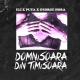 Eli & Puya feat. George Hora[►vk.com/icestreamua♪] - Domnisoara Din Timisoara