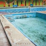 album image Cia Mutabor
