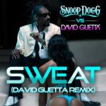 album image Sweat (Snoop Dogg Vs. David Guetta) Sweat/Wet - EP