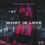 album image What Is Love (Cover 2020) What Is Love - Single