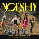 album image Don't Give A What Not Shy - EP