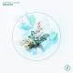 Marin Hoxha, Ane Flem - Dreamer