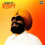 album image KARI KARI - Single