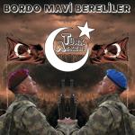 album image Bordo Mavi Bereliler - Hami Erkan Bordo Mavi Bereliler - Single