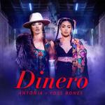album image Dinero (DAmico x Valax Remix) Dinero - Single