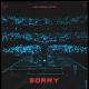 Alan Walker feat. ISK - Sorry (Albert Vishi Remix) (Albert Vishi Remix)
