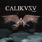 album image ÇALIKUŞU ÇALIKUŞU - Single