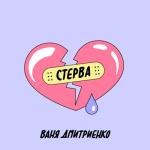album image Стерва Стерва - Single