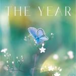 album image Overture (Opening Sequence) THE YEAR