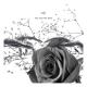 LUUV., Shiloh Dynasty - would you be my baby