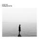 Evening Traveler - Finding Out as I Go