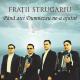 Fratii Strugariu - Pace Tie