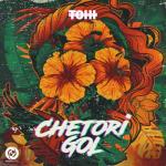 album image Chetori Gol (Djm6 & Sajjad Gholipour Remix) Chetori Gol - Single