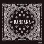 album image Ladidadida BANDANA I