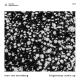Max von Sternberg - Forgiveness (Innellea's CP Needs More Interfering Noise Remix)