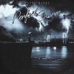 album image Don't Go Perfect Storm
