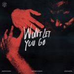 album image Won’t Let You Go Won’t Let You Go - Single