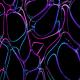 Neeraj Shridhar - Twist