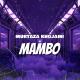 HouseMusicHD - MAMBO ITALIANO (WIB3X Remix)