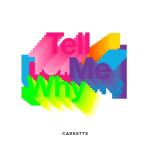album image Tell Me Why (Original Mix) Tell Me Why - Single