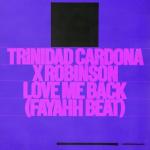 album image Fayahh (Ayo Girl & Love Me Back Beat) Love Me Back (Fayahh Beat) - Single