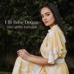 album image Yare Gidin Turnalar Yare Gidin Turnalar - Single