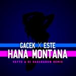 album image HANA MONTANA HANA MONTANA (Vayto & Dj Daxshadow Remix) - Single