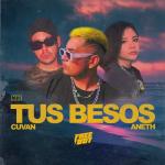 album image En Mi Cuarto Tus Besos - Single