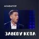 Сергей Асафатов - Заведу кота