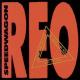REO Speedwagon - That Ain't Love