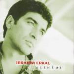 album image Sevme Aşkname