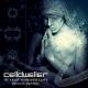Linkin Park vs. Celldweller feat. Tom Salta - Lost In The Echo vs. Ghosts [Rock Remix]