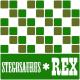 stegosaurus rex - nowhere to run ( slowed + reverb + 432hz )
