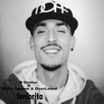 album image Senorita Seniorita (feat. Edita Sopjani & OverLord) - Single
