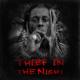 Lil Wayne feat. Drake - She Will