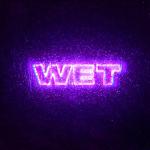 album image Capoeira Mata Um (Zum Zum Zum) (Black V Neck & Zack Darza Remix) WET - Single