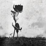 album image Как я тебя любил А тебя мне мало