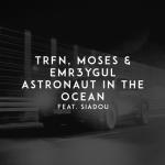 album image Astronaut in the Ocean Astronaut in the Ocean