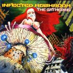 poster Infected_Mushroom_-_Psycho The Gathering