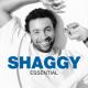 Shaggy - Boombastic (Sting RMX) (Short Edit)