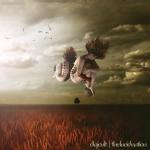 album image The Optimist (Original Mix) The Lucid Nation