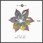 album image feat. Sandecki Sax Deep for Soul