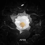 album image Without You (The Hitmen Tribute Remix) AVĪCI (01)