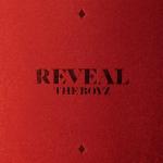 album image REVEAL THE BOYZ 1ST ALBUM [REVEAL]