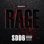 poster SSD VI