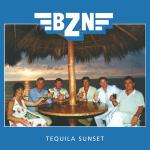 poster Dance In The Moonlight Tequila Sunset