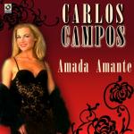 poster Amor Perdóname Amada Amante