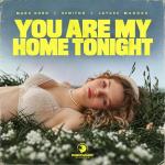 poster You Are My Home Tonight